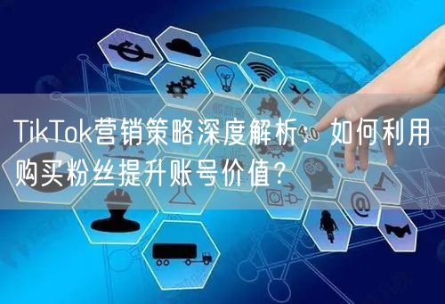 TikTok营销策略深度解析：如何利用购买粉丝提升账号价值？