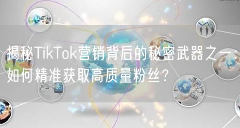揭秘TikTok营销背后的秘密武器之一：如何精准获取高质量粉丝？