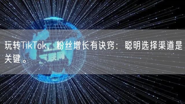 玩转TikTok，粉丝增长有诀窍：聪明选择渠道是关键。