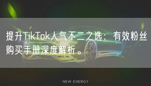 提升TikTok人气不二之选：有效粉丝购买手册深度解析。