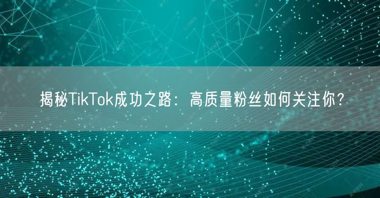揭秘TikTok成功之路：高质量粉丝如何关注你？