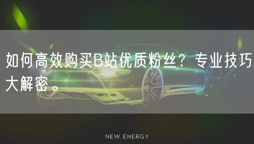 如何高效购买B站优质粉丝？专业技巧大解密。