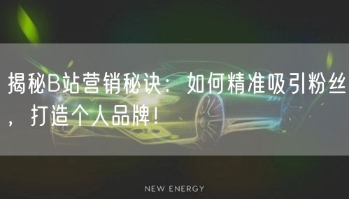 揭秘B站营销秘诀：如何精准吸引粉丝，打造个人品牌！