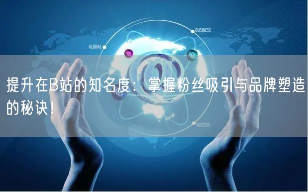 提升在B站的知名度：掌握粉丝吸引与品牌塑造的秘诀！