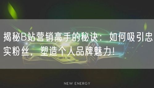 揭秘B站营销高手的秘诀：如何吸引忠实粉丝，塑造个人品牌魅力！