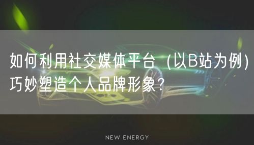 如何利用社交媒体平台（以B站为例）巧妙塑造个人品牌形象？