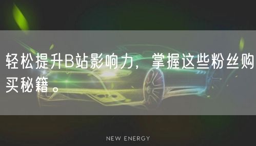 轻松提升B站影响力，掌握这些粉丝购买秘籍。