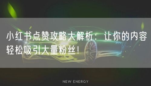 小红书点赞攻略大解析：让你的内容轻松吸引大量粉丝！