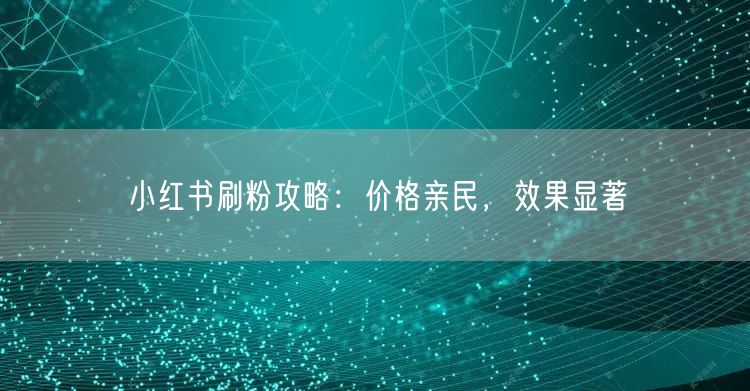 小红书刷粉攻略：价格亲民，效果显著