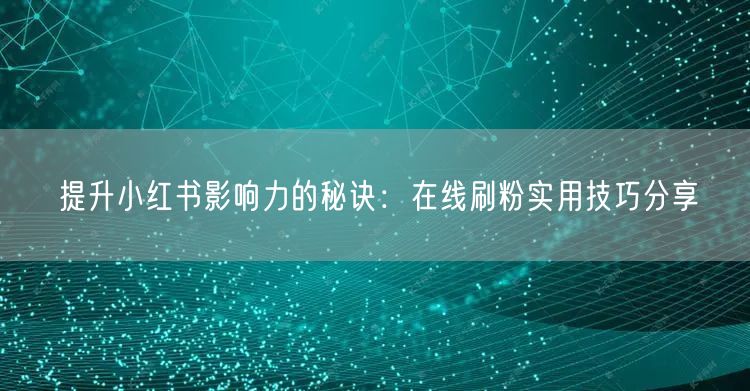 提升小红书影响力的秘诀：在线刷粉实用技巧分享