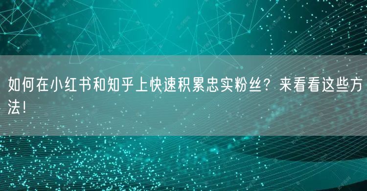 如何在小红书和知乎上快速积累忠实粉丝？来看看这些方法！