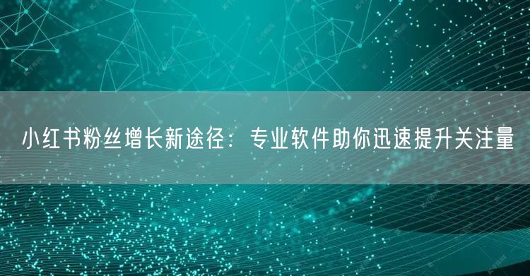 小红书粉丝增长新途径：专业软件助你迅速提升关注量