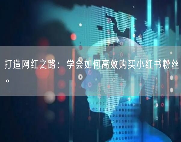 打造网红之路：学会如何高效购买小红书粉丝。