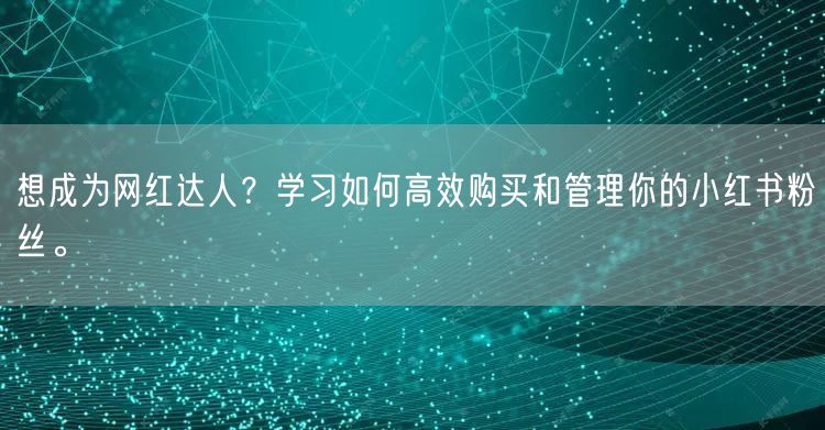 想成为网红达人？学习如何高效购买和管理你的小红书粉丝。