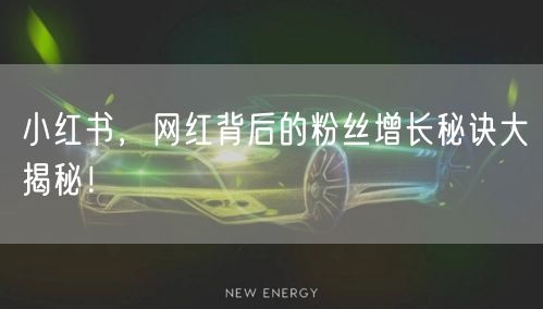 小红书，网红背后的粉丝增长秘诀大揭秘！