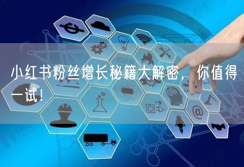 小红书粉丝增长秘籍大解密，你值得一试！