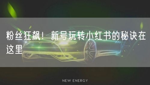 粉丝狂飙！新号玩转小红书的秘诀在这里