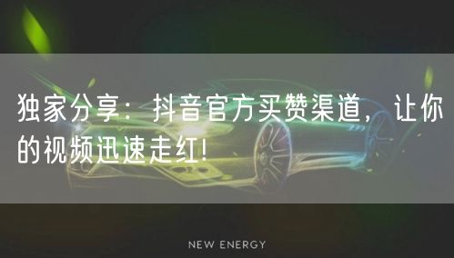 独家分享：抖音官方买赞渠道，让你的视频迅速走红!