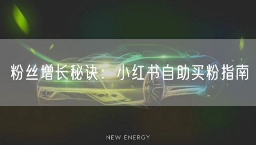 粉丝增长秘诀：小红书自助买粉指南