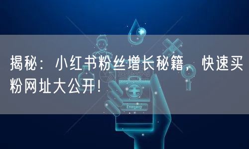 揭秘：小红书粉丝增长秘籍，快速买粉网址大公开！